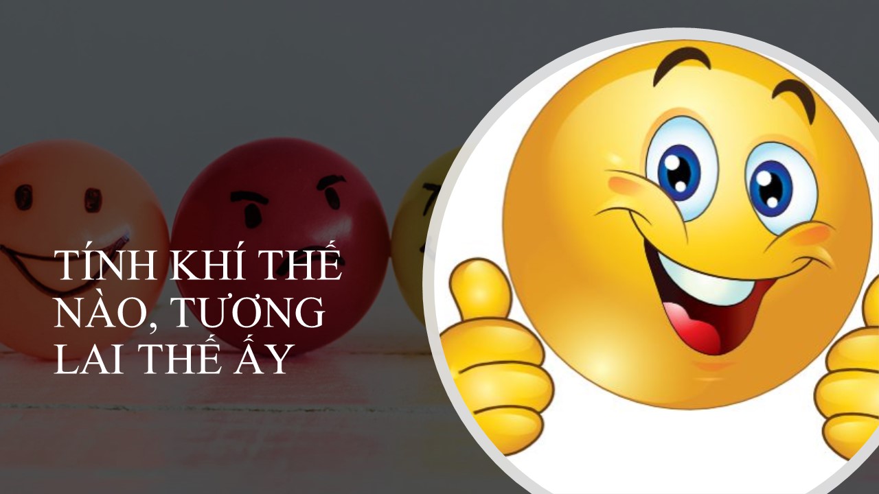 TÍNH KHÍ THẾ NÀO, TƯƠNG LAI THẾ ẤY - Gia phả Đại Việt - Dịch vụ gia phả trọn gói